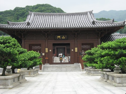 門山兩旁亦有不少別緻的樹木